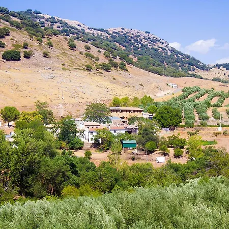 Restaurante Sierra De La Martina Pensión